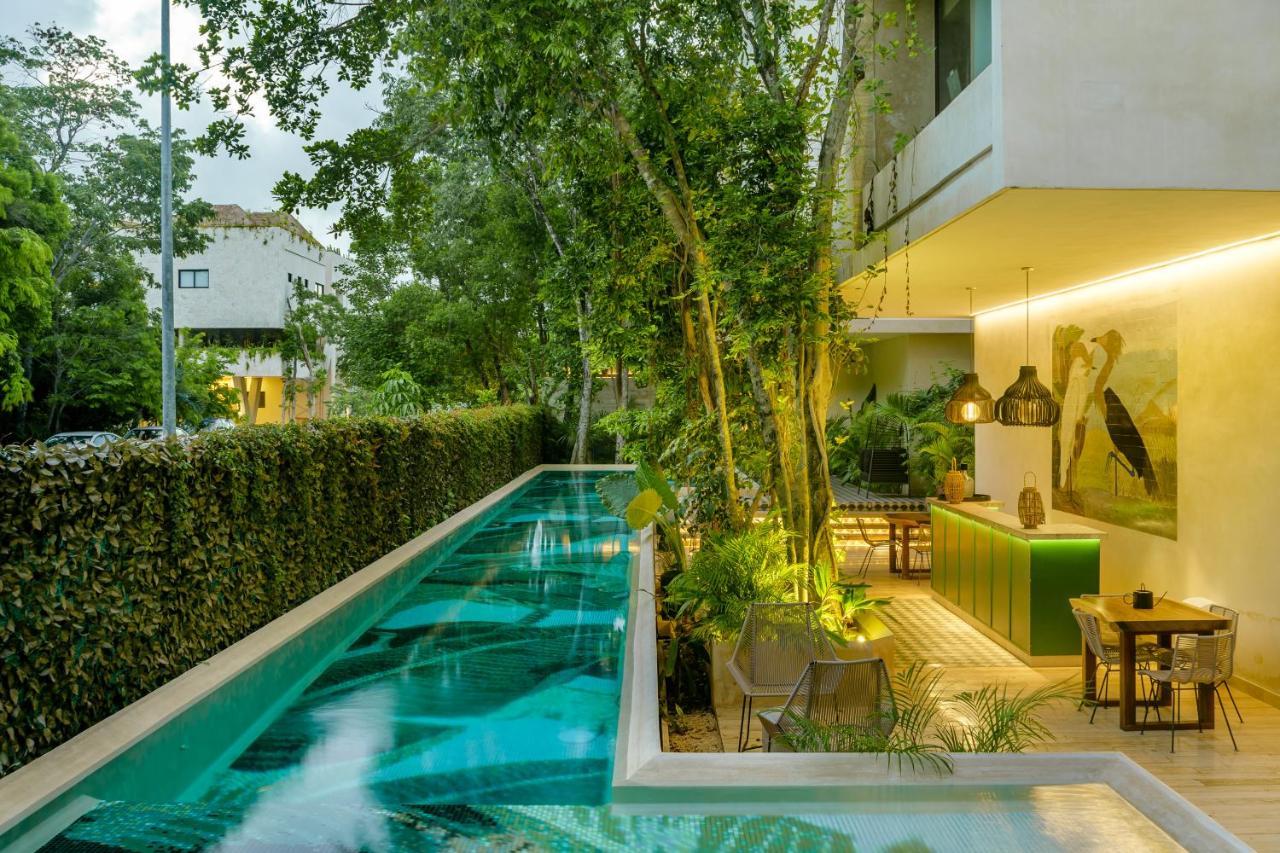 102-104 Amazing Private Pool And Fully Equipped Apartment تولوم المظهر الخارجي الصورة